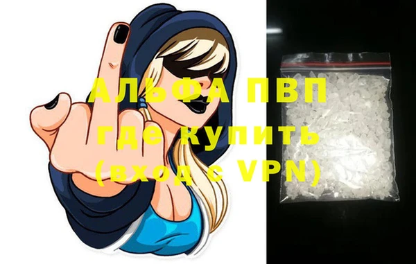 стафф Алексин