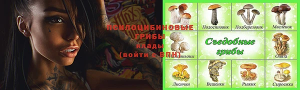 стафф Алексин