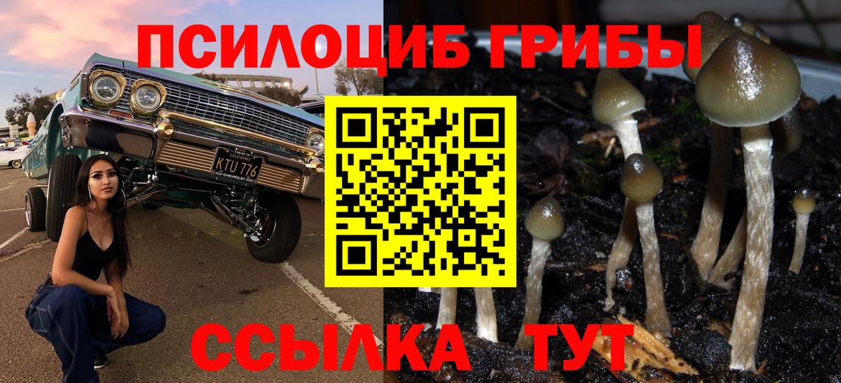 Псилоцибиновые грибы прущие грибы Коряжма